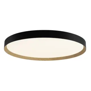 פלפון דין קוטר 80 בשילוב עץ CCT